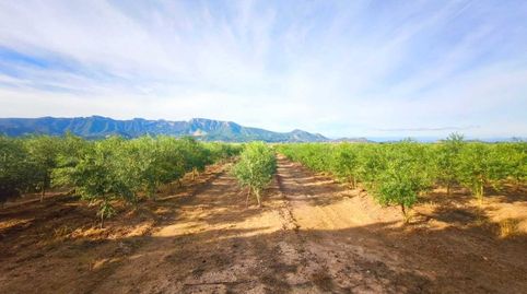 Se vende excelente finca rústica de 20 hanegadas, situada en el término municipal de Fortaleny Valencia. El terreno se encuentra p