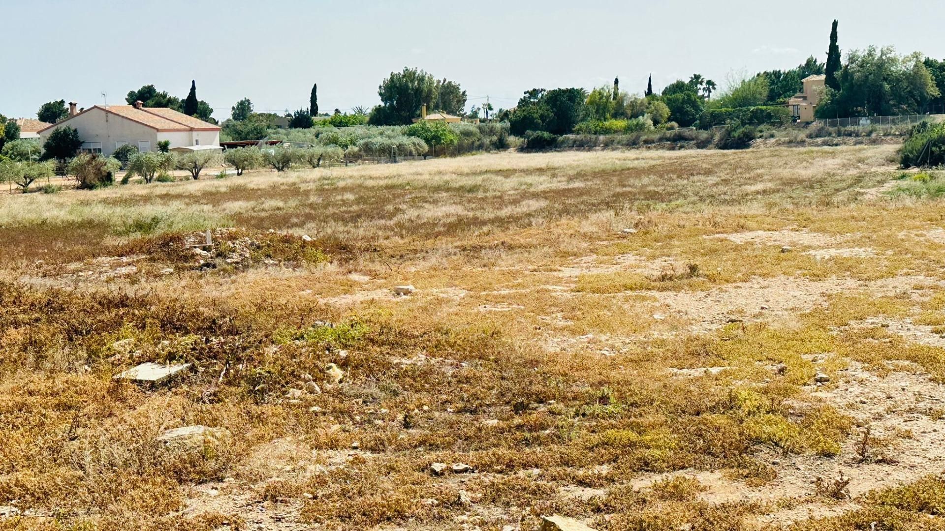 Land for sale in Elche / Elx
