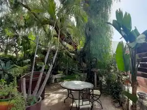 Finca rústica en venta en Granadilla de Abona, Santa Cruz de Tenerife