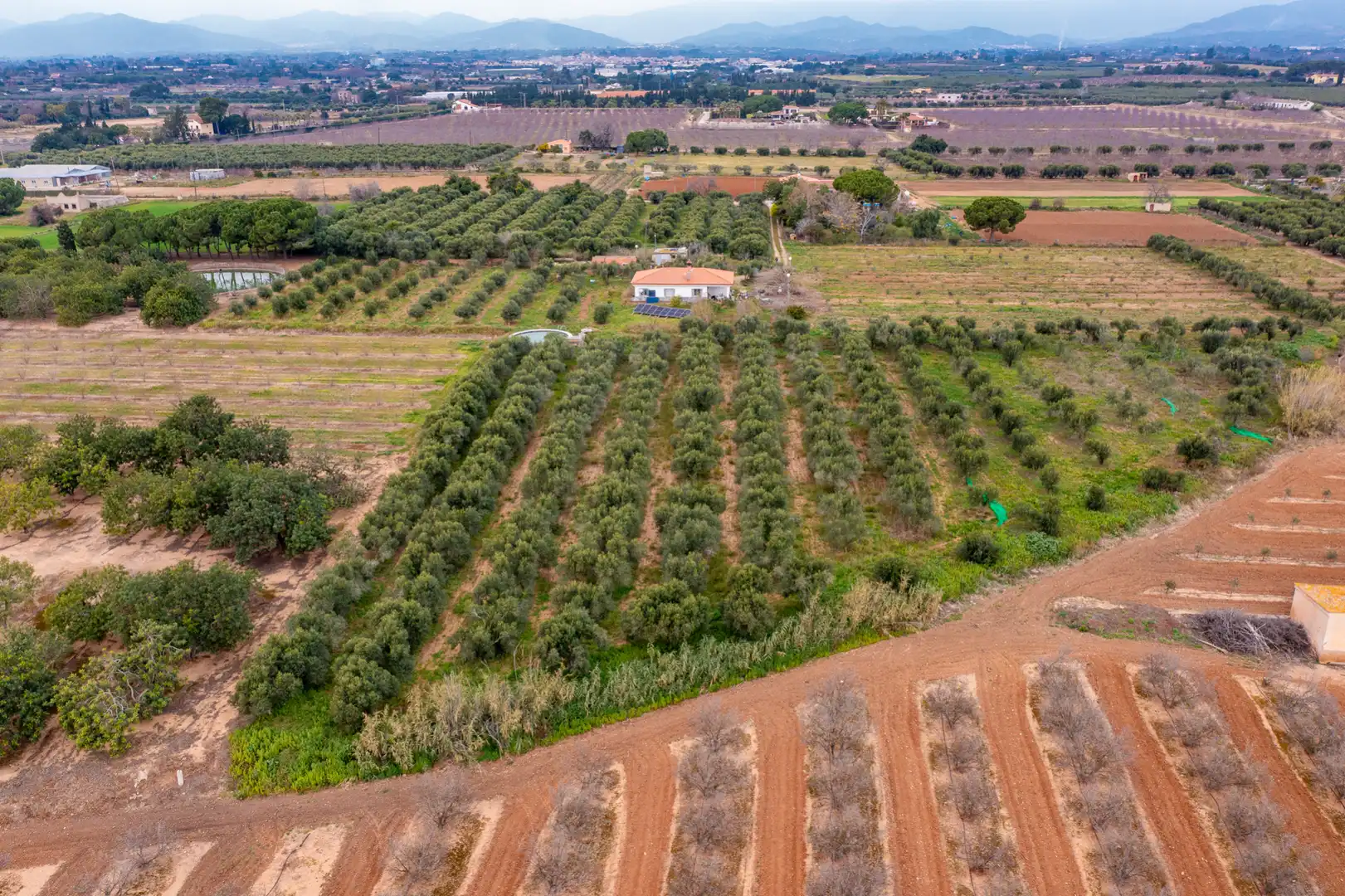 Casa rústica con jardín en venta en Riudoms, imagen 10