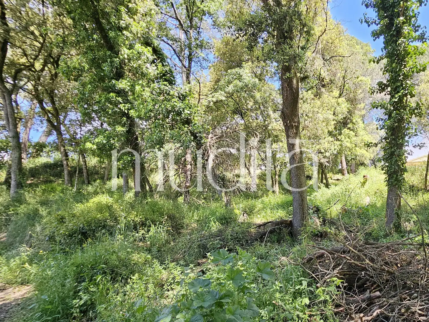 Residential land for sale in Sant Pere de Vilamajor, imagen 15