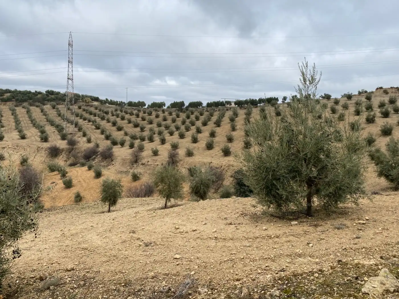 Casa rustica in vendita a Huétor Tájar, imagen 4