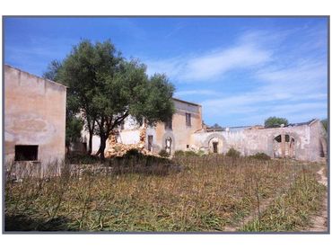 Rural land for sale in Camino Sta Magdalena sn