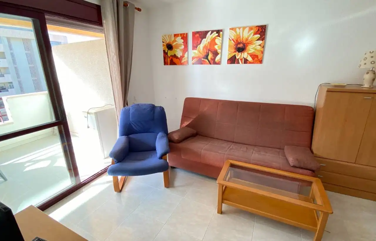 Mini appartamento con terrazza in vendita a Zona Levante - Playa Fossa, imagen 6