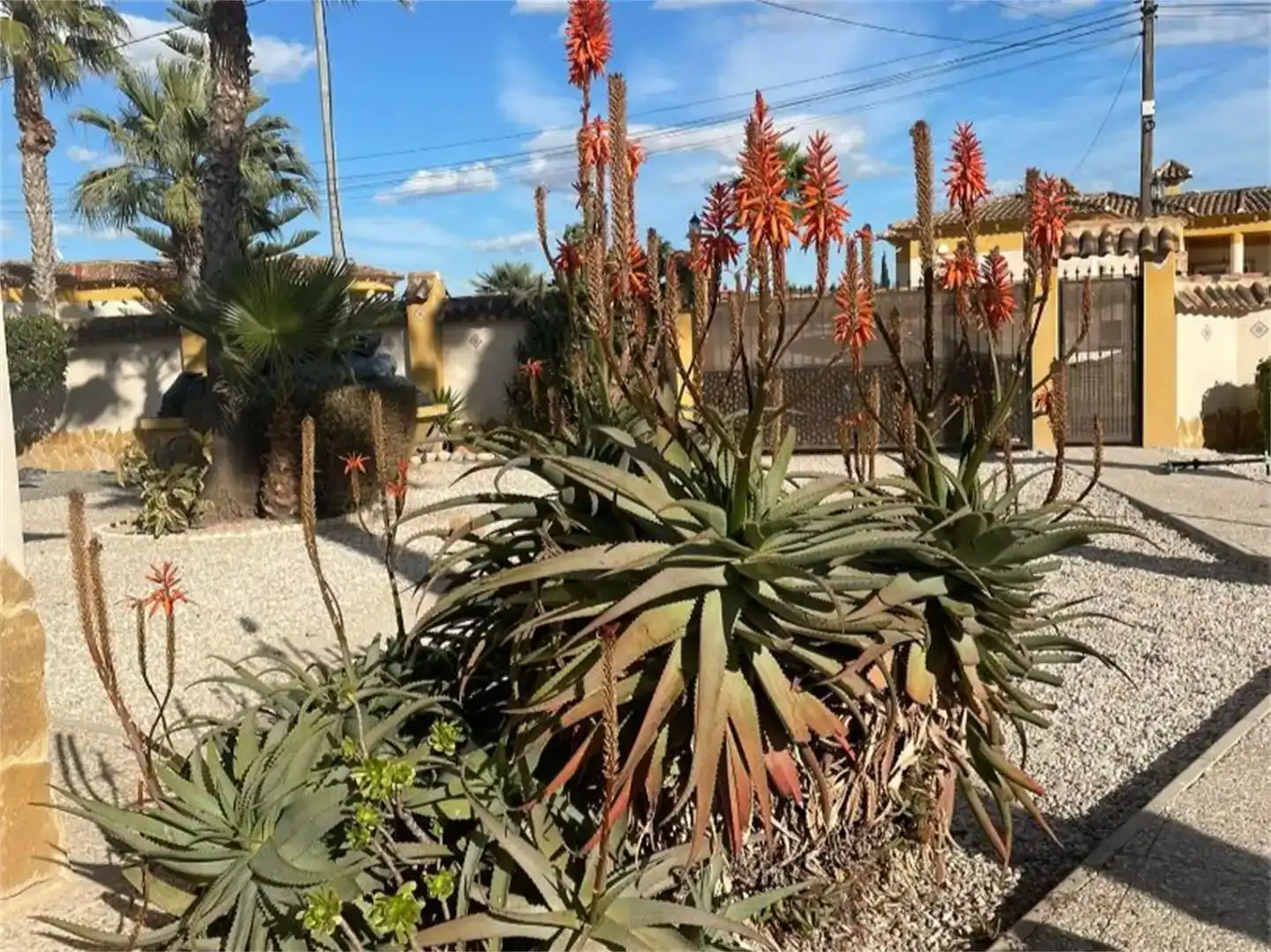 Jardí de Finca rústica en venda en Catral amb Aire condicionat, Jardí privat i Parquet