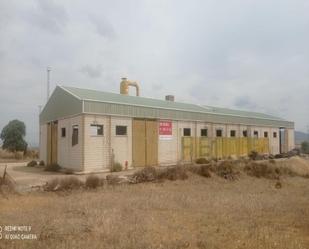 Industrial buildings for sale in Herrera del Duque