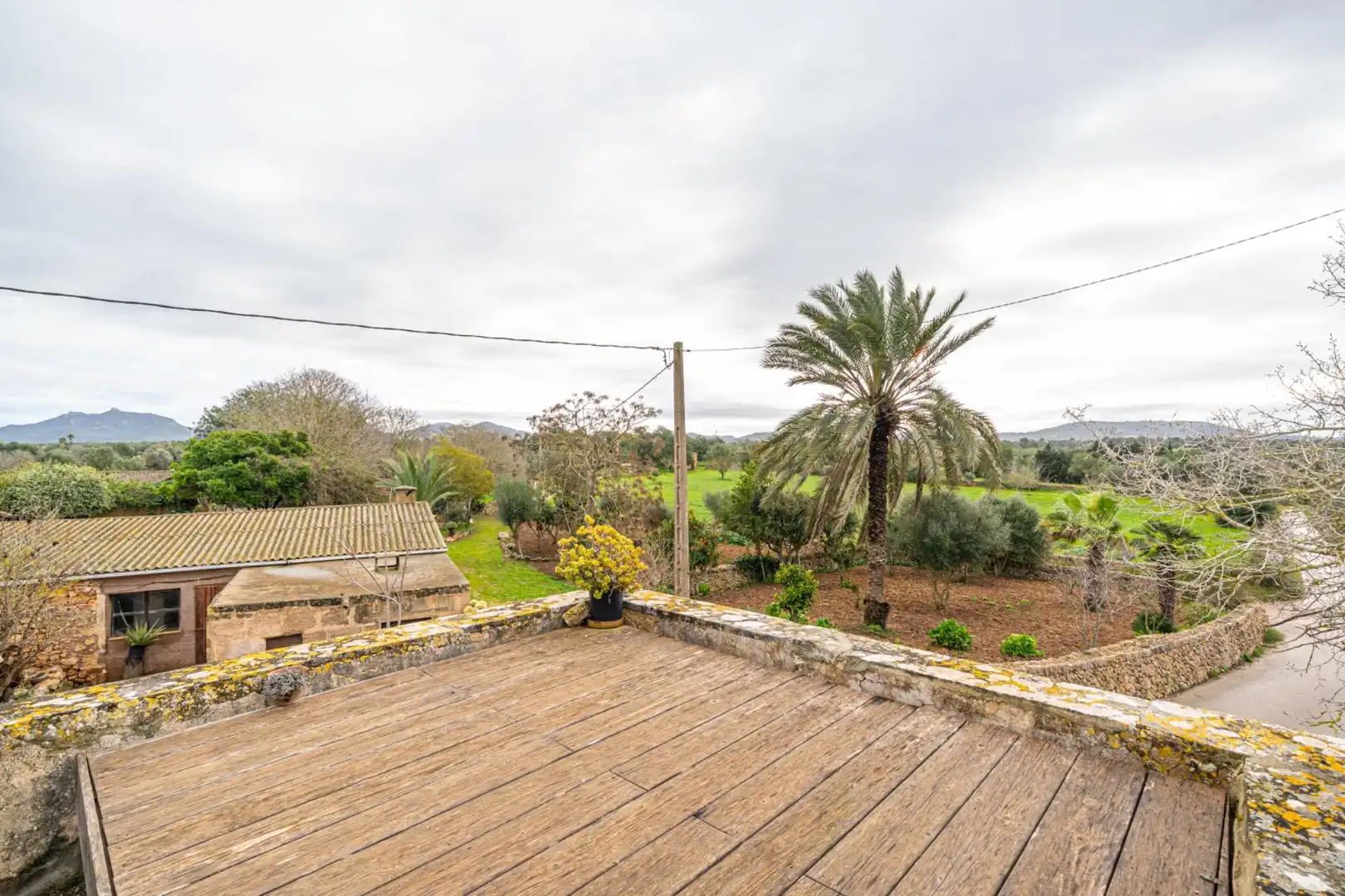 Terrassa de Finca rústica en venda en Felanitx