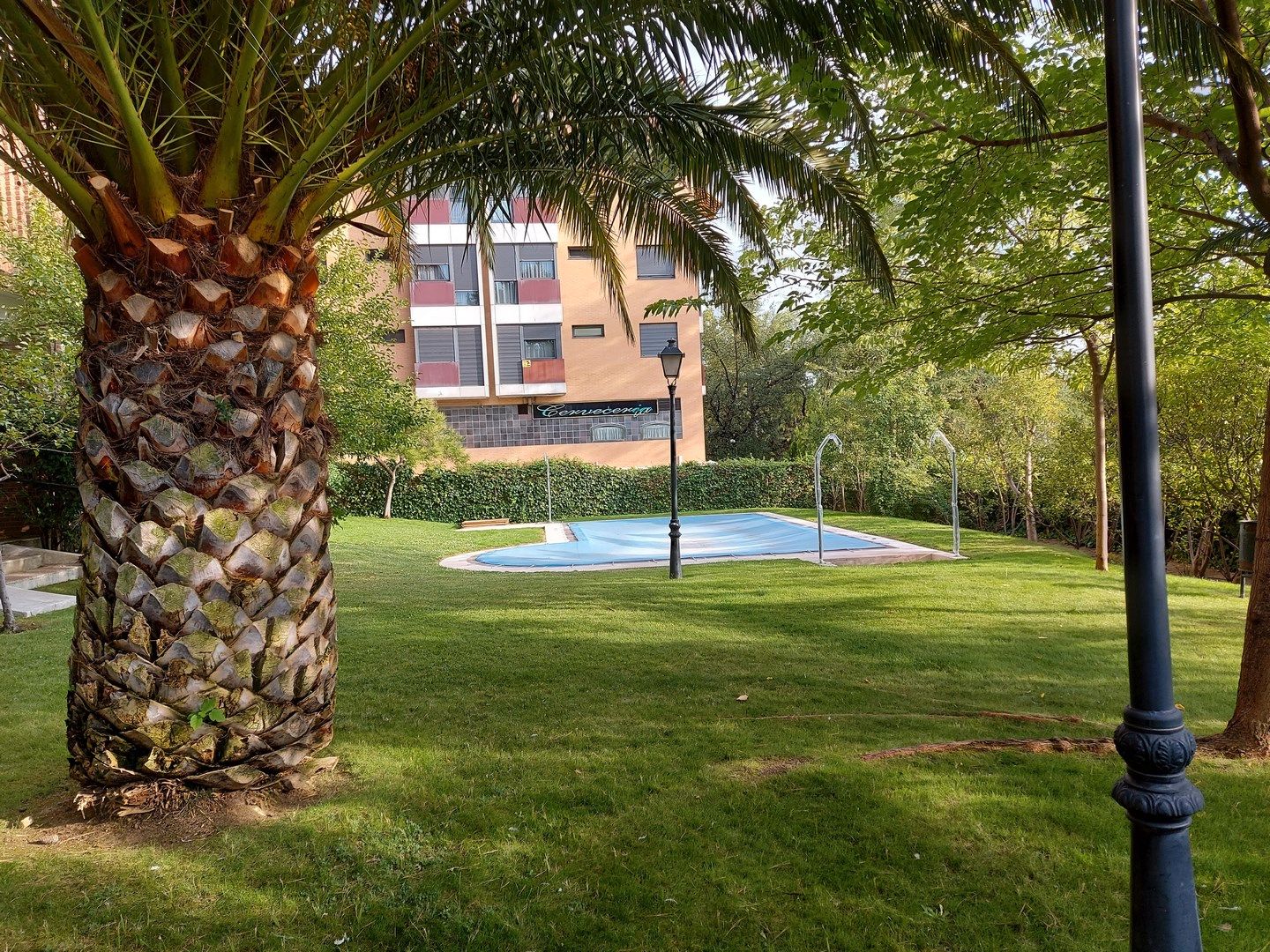 Piscina de Apartamento de alquiler en  Madrid Capital con Aire acondicionado, Calefacción y Piscina