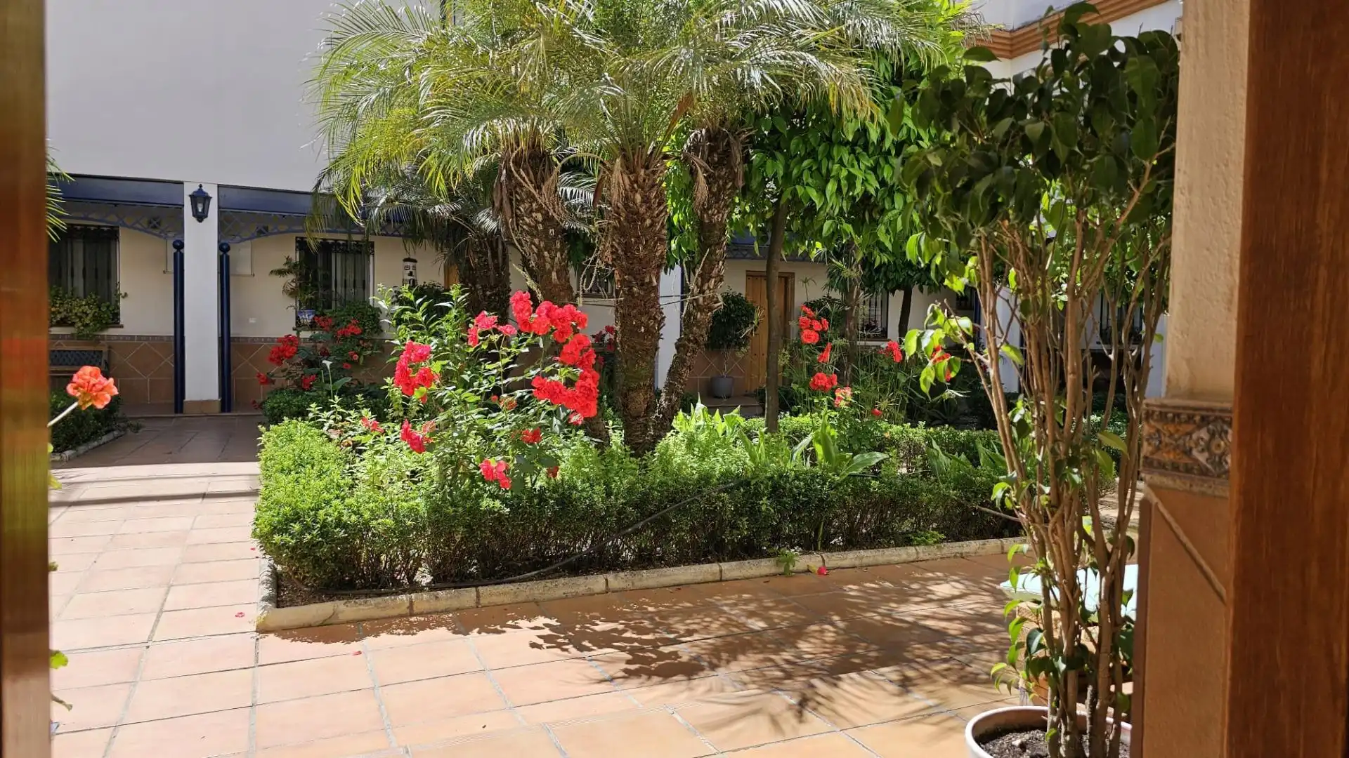 Jardí de Casa o xalet en venda en Córdoba amb Aire condicionat i Traster