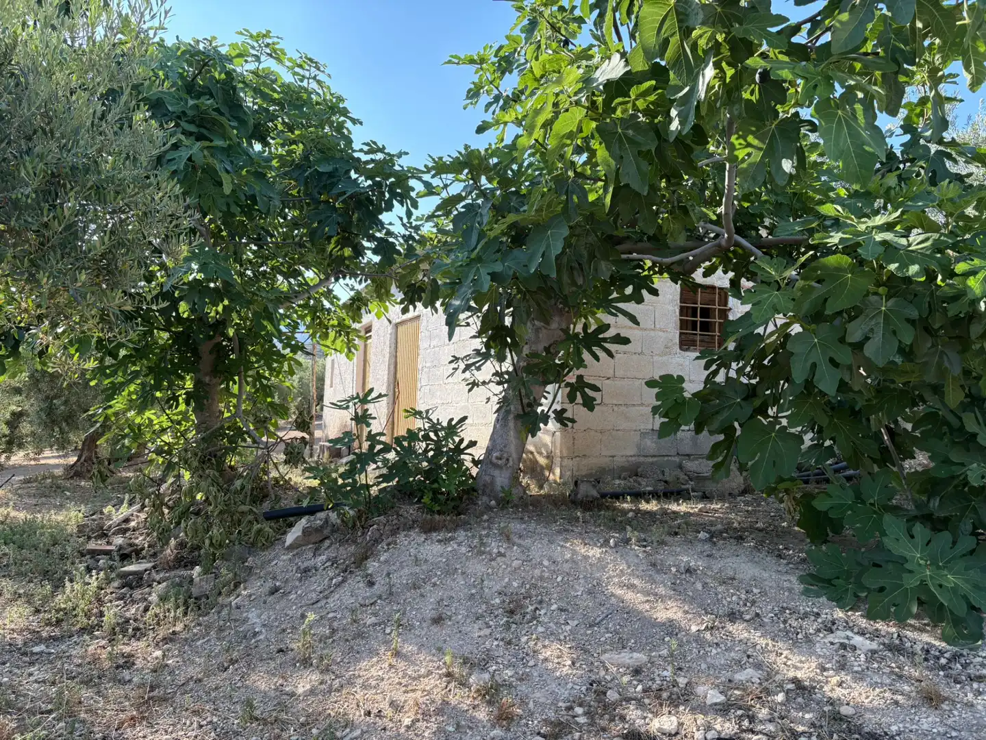 Terreni e lotti in vendita a Calle Atalayuela 9