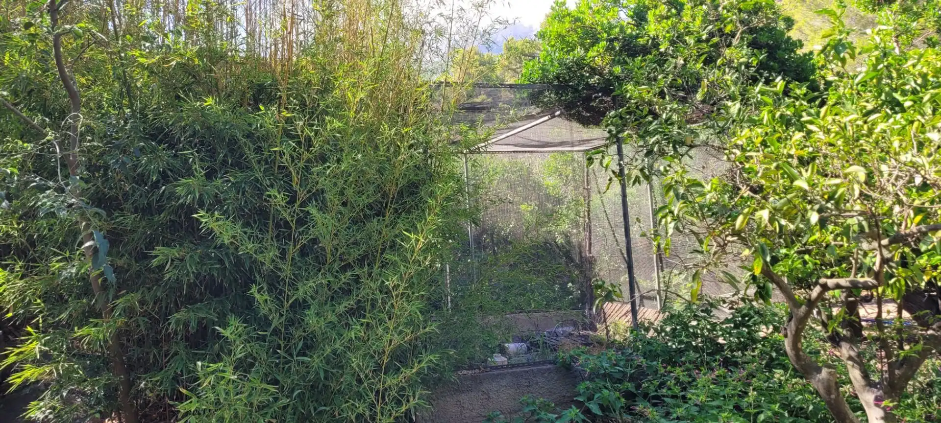 Garten von Country house zum Verkauf in Altea mit Privatgarten, Terrasse und Abstellraum
