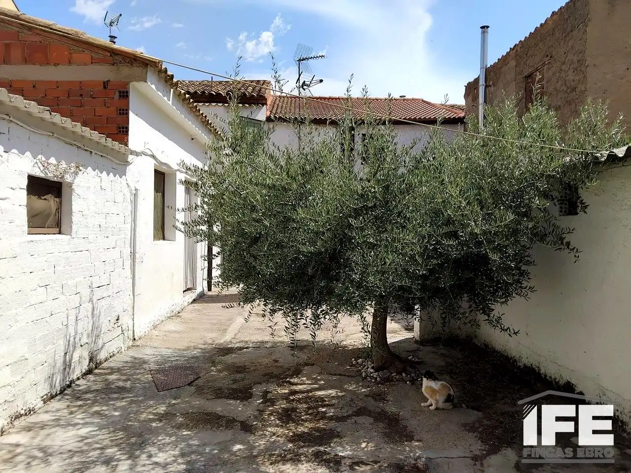 Vista exterior de Casa o xalet en venda en Torres de Berrellén amb Aire condicionat i Jardí privat