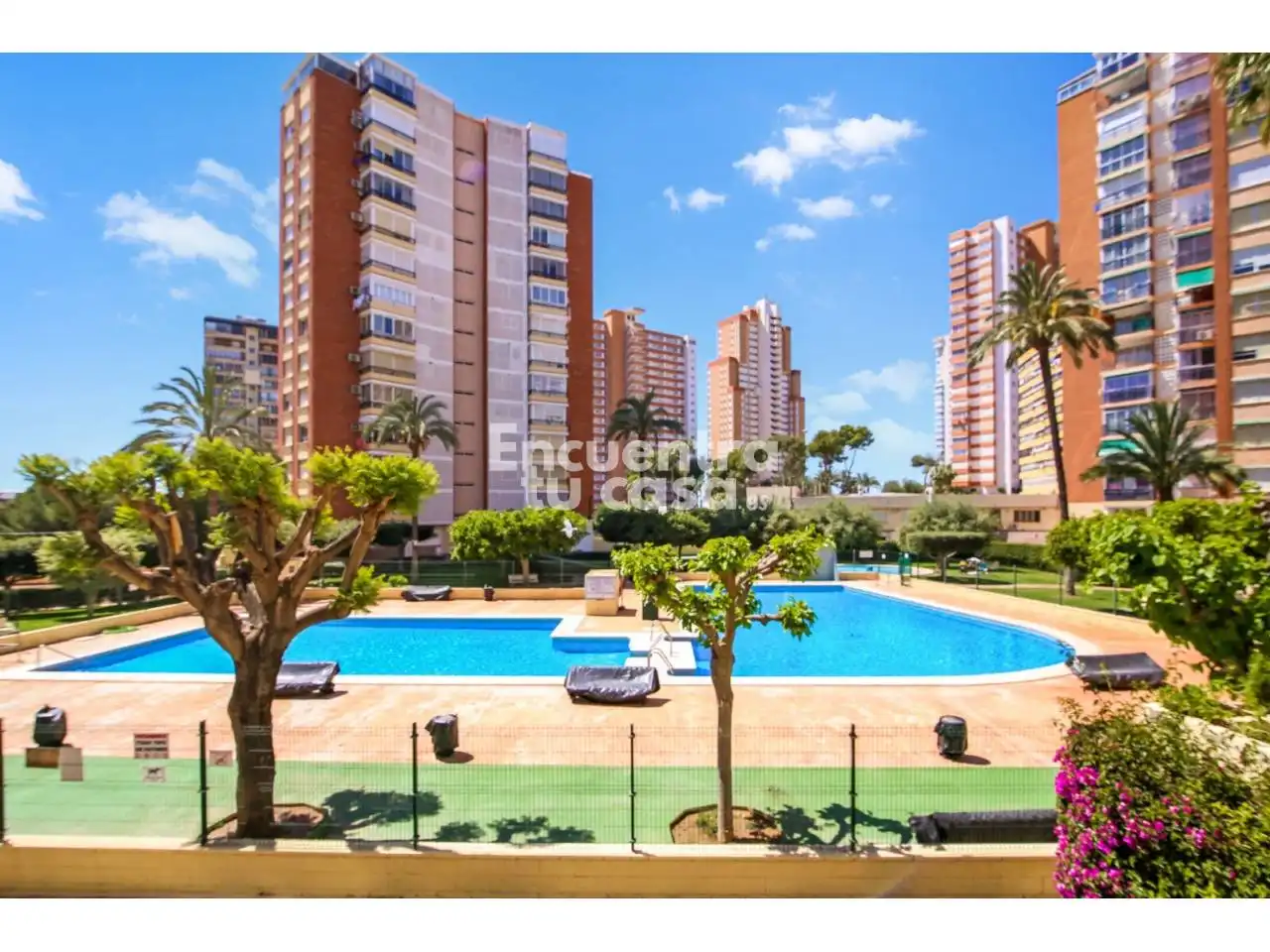 Vista exterior de Pis en venda en Benidorm amb Terrassa, Balcó i Piscina comunitària