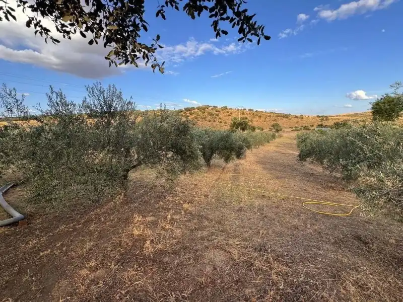 Terreni e lotti in vendita a Montesol - Mejostilla, imagen 33