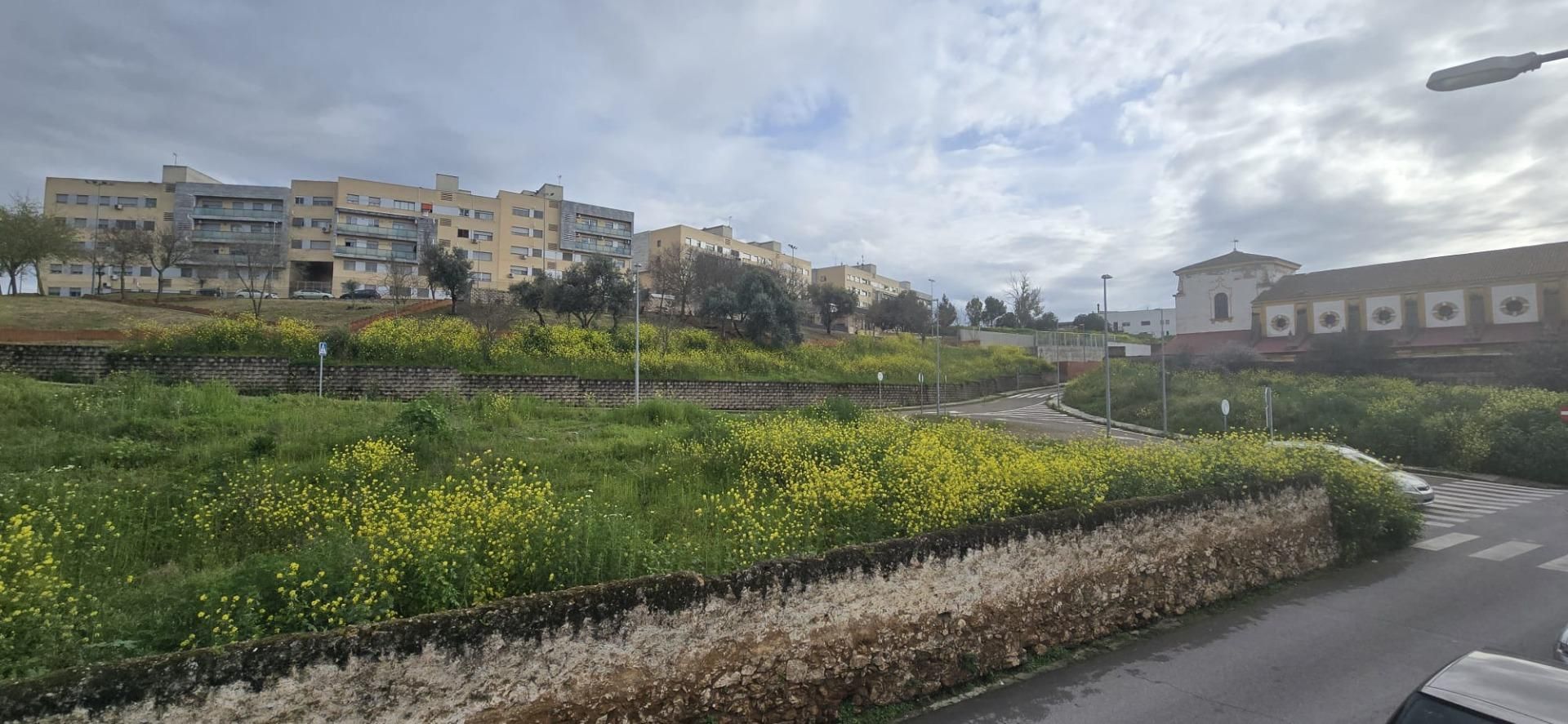 Casa o chalet en venta en Badajoz Capital con Terraza