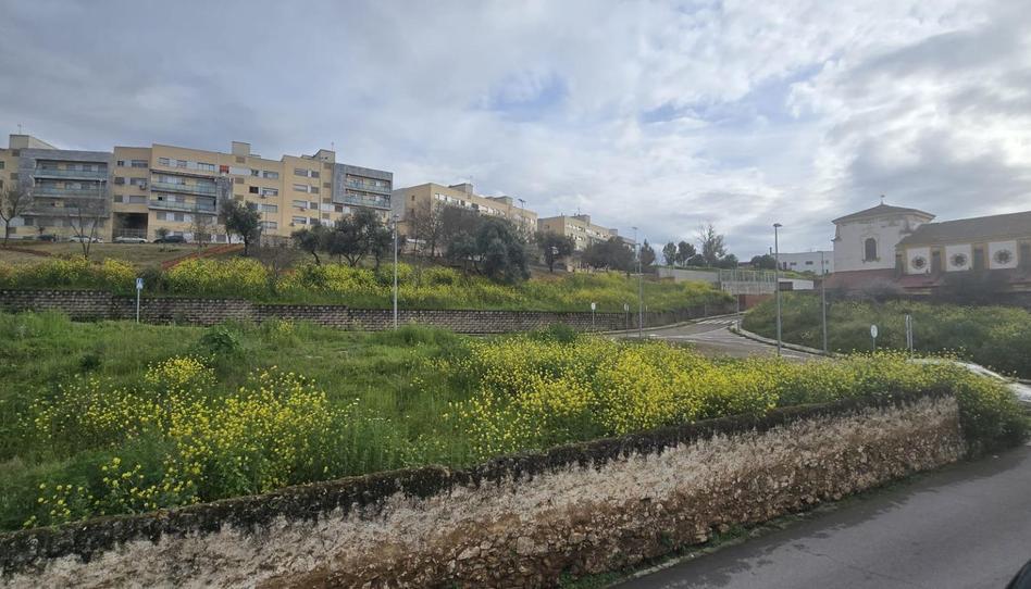 Foto 1 de Casa o chalet en venta en Calle Ntra Sra Asuncion, La Estación, Badajoz