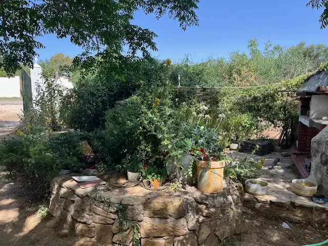 Terreni e lotti in vendita a Vejer, imagen 3
