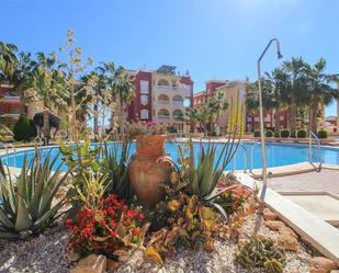 Swimming pool of Attic for sale in Los Alcázares  with Terrace, Swimming Pool and Balcony