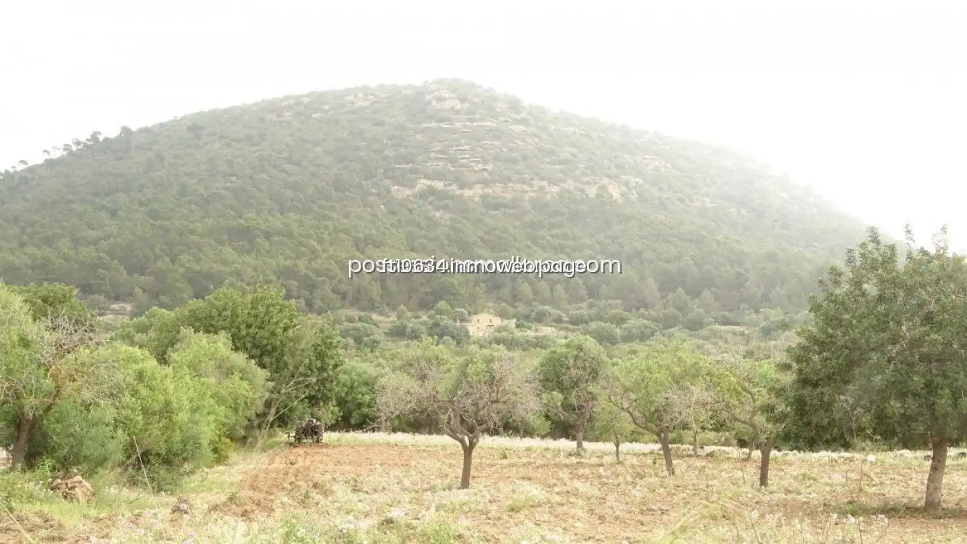 Terreno rustico in vendita a Llucmajor pueblo, imagen 5