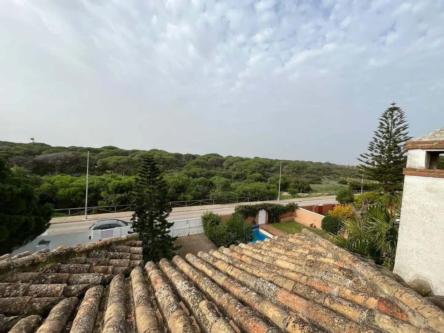 Exterior view of Houses for sale in Chiclana de la Frontera