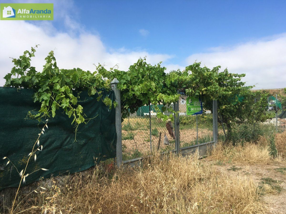 Jardí de Finca rústica en venda en Aranda de Duero
