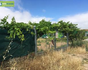 Jardí de Finca rústica en venda en Aranda de Duero