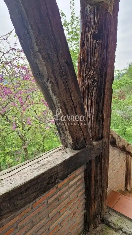 Jardín de Casa adosada en venta en Zeberio