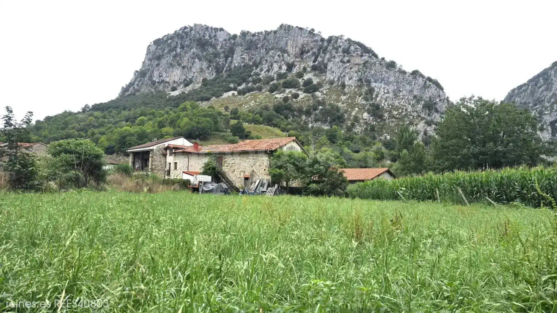 Finca rústica en venda en Peñamellera Alta amb Jardí privat