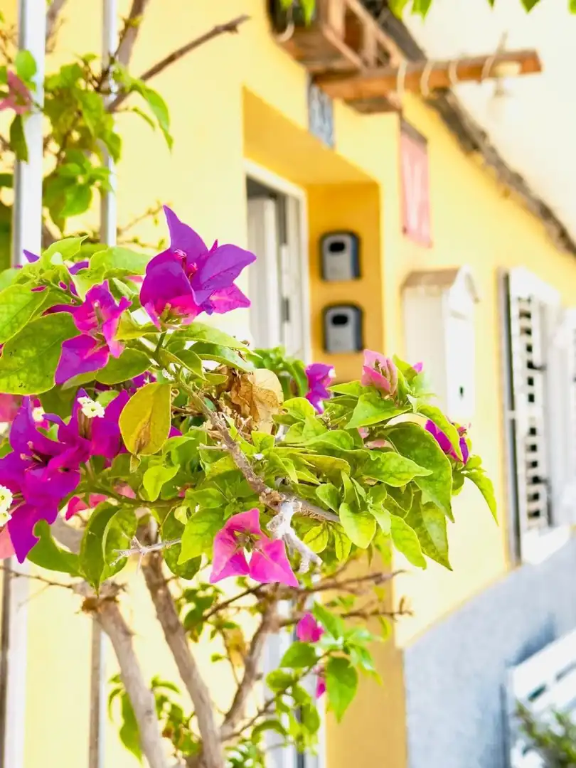 Terrassa de Casa o xalet en venda en Pozo Izquierdo