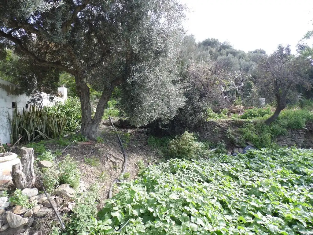 Casa rústica amb jardí en venda a Diseminados, imagen 4