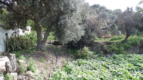 Foto 4 de Finca rústica en venta en Diseminados, Rincón de la Victoria
