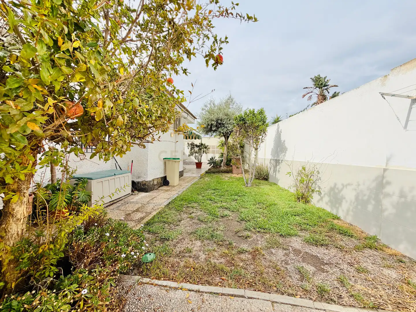 Vista exterior de Casa o chalet en venta en Aguadulce