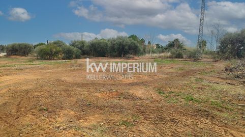 Terreno de media hectárea edificable para inversión, imagen 3