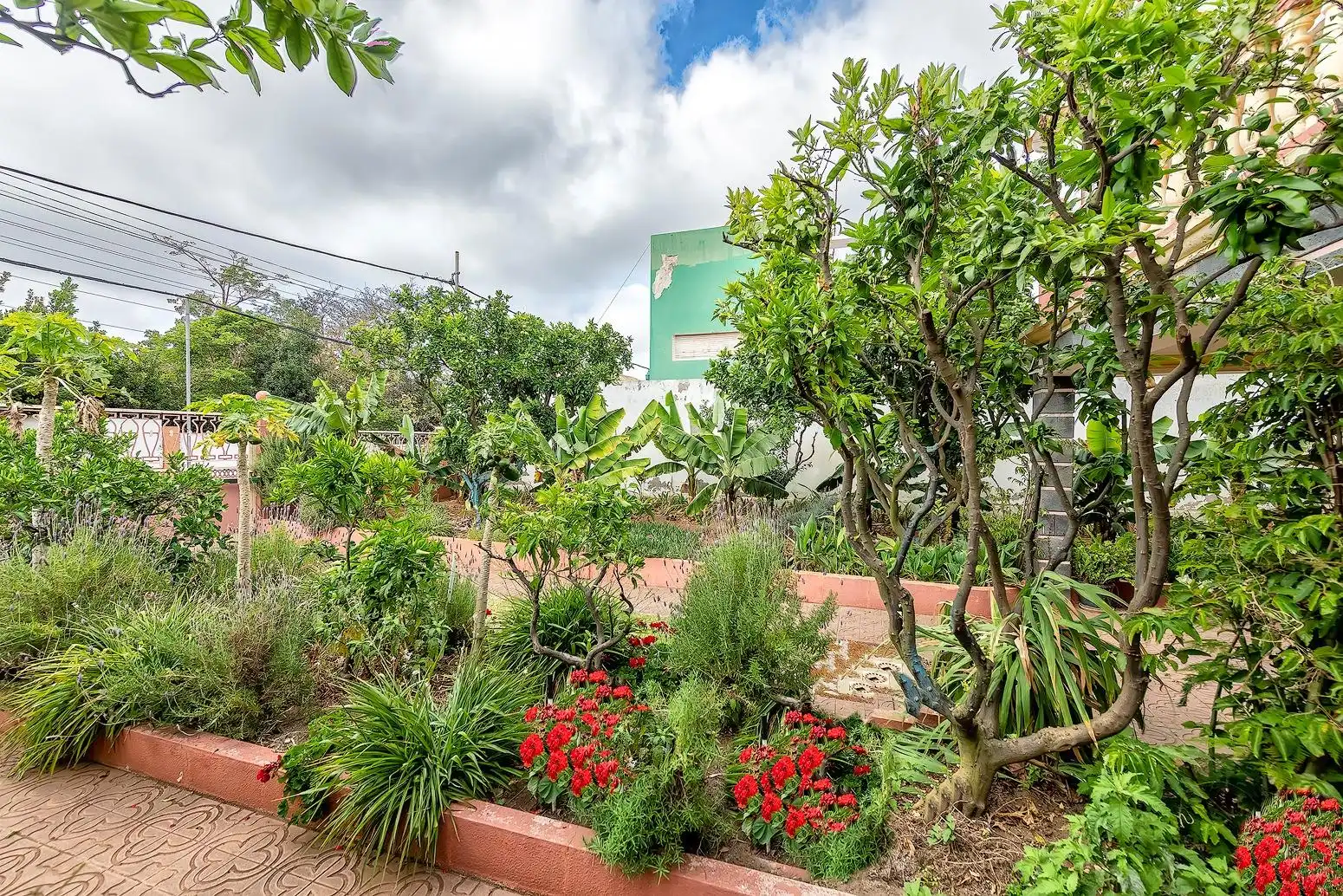 Jardí de Casa o xalet en venda en Las Palmas de Gran Canaria amb Aire condicionat, Jardí privat i Terrassa