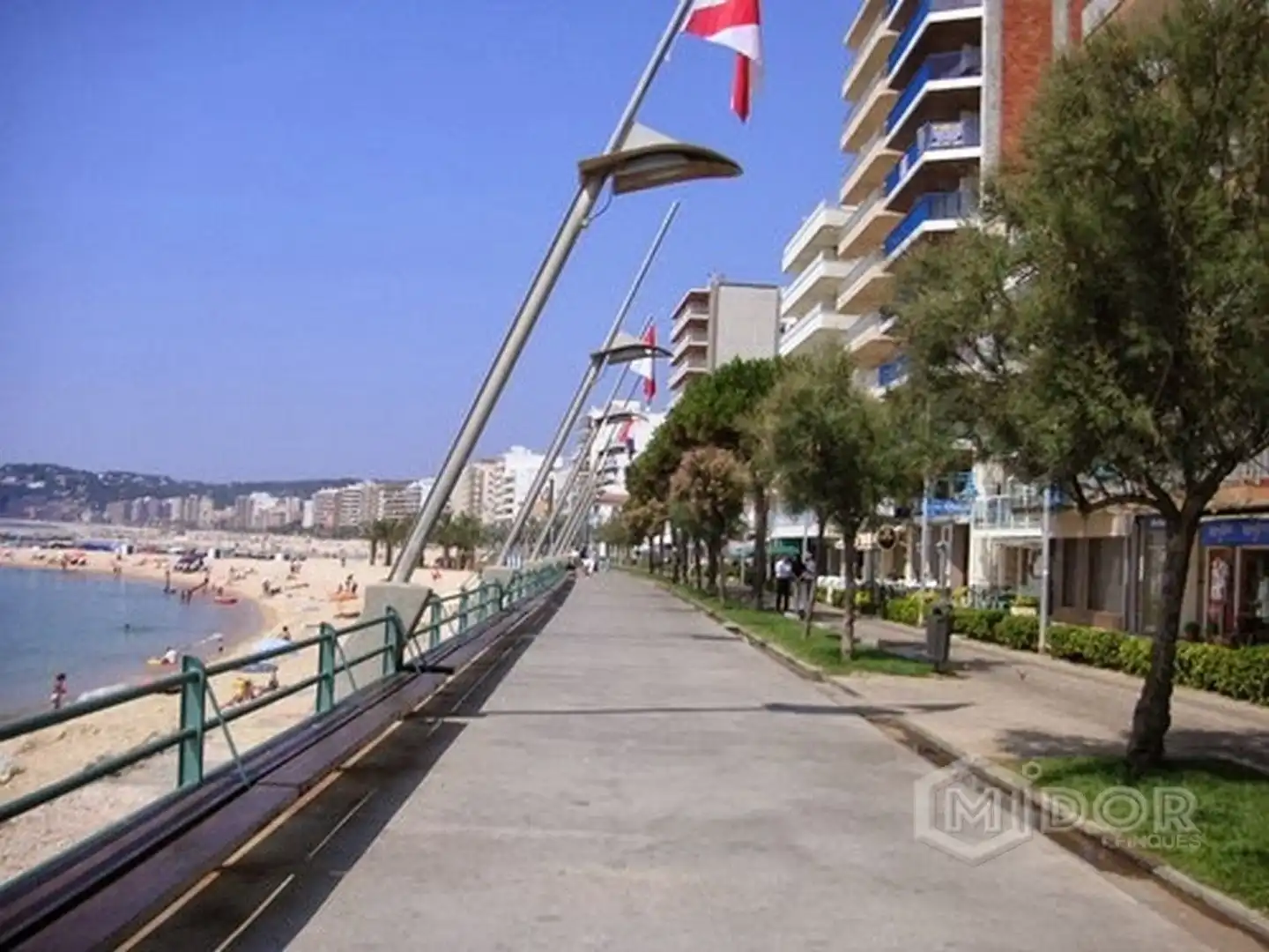 Residential land for sale in Carrer Avet, imagen 19