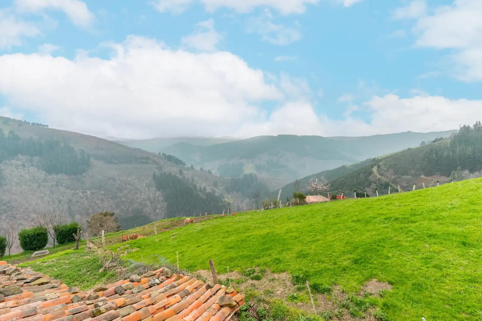 Haus zum Verkauf in Lugar SAN PEDRU CULIEMA 12, imagen 45