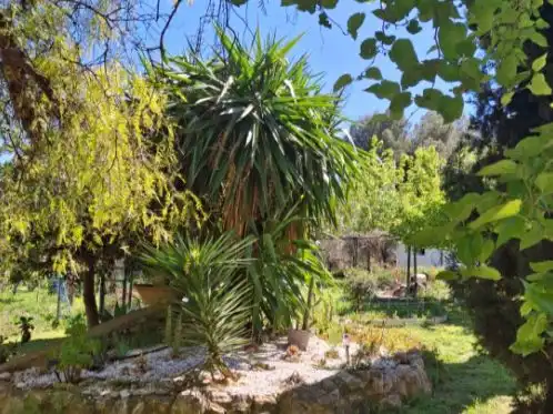 Chalet con piscina en venta en Carrer Dos de Maig 1, imagen 8