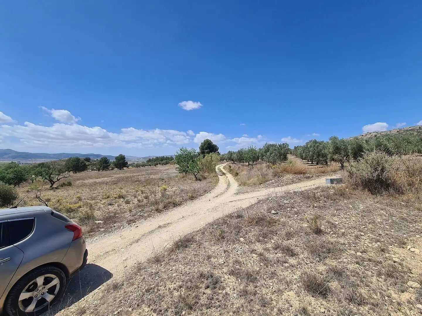Rural land for sale in Las Tiesas, imagen 6