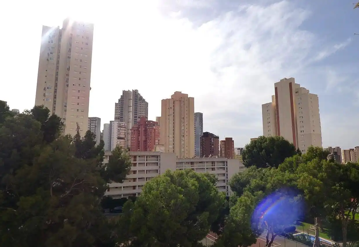 Vista exterior de Apartament en venda en Benidorm amb Piscina i Piscina comunitària