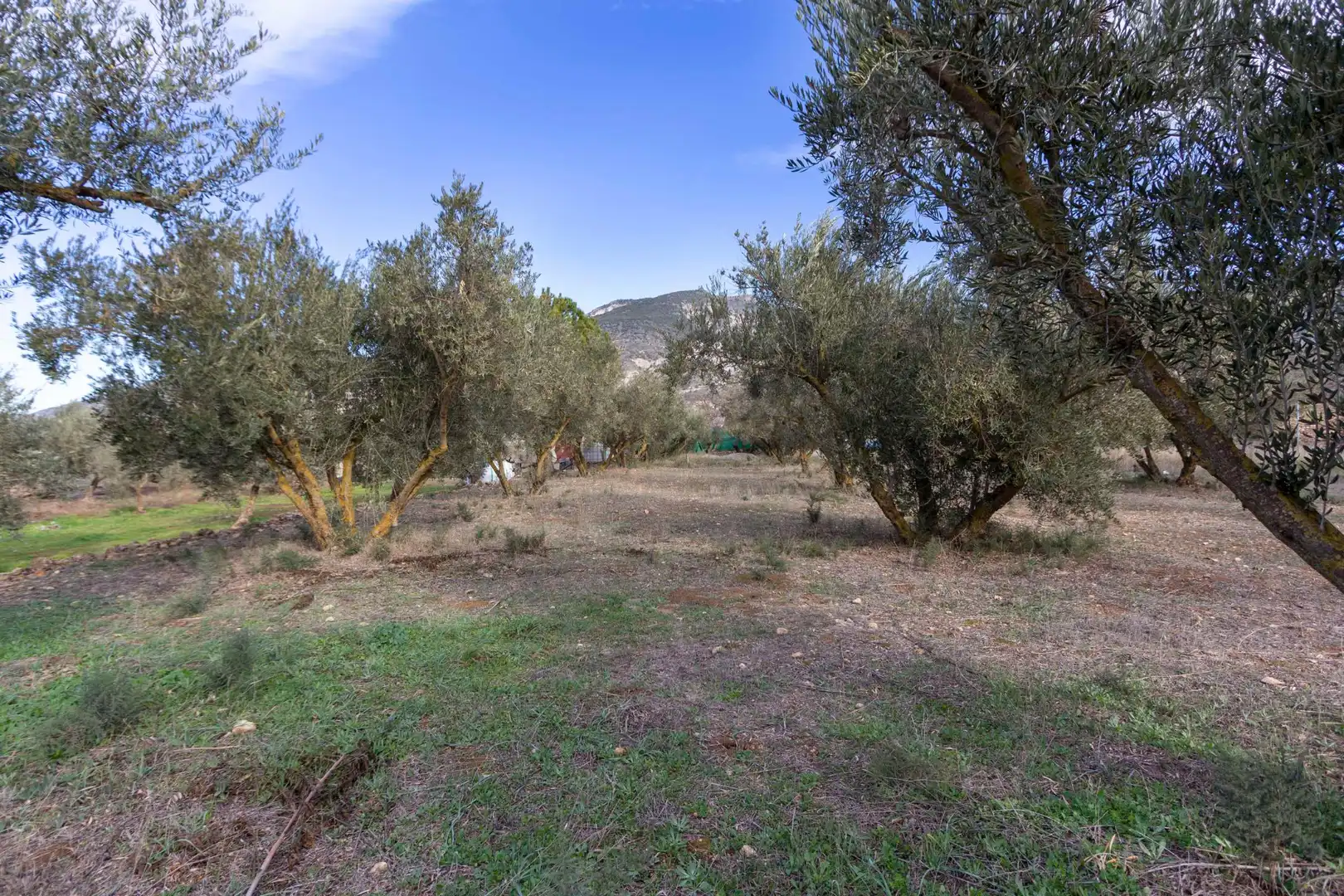 Country house zum Verkauf in Dúrcal mit Privatgarten und Terrasse