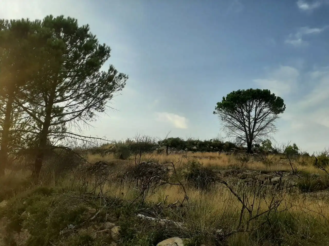 Residential for sale in Caudiel