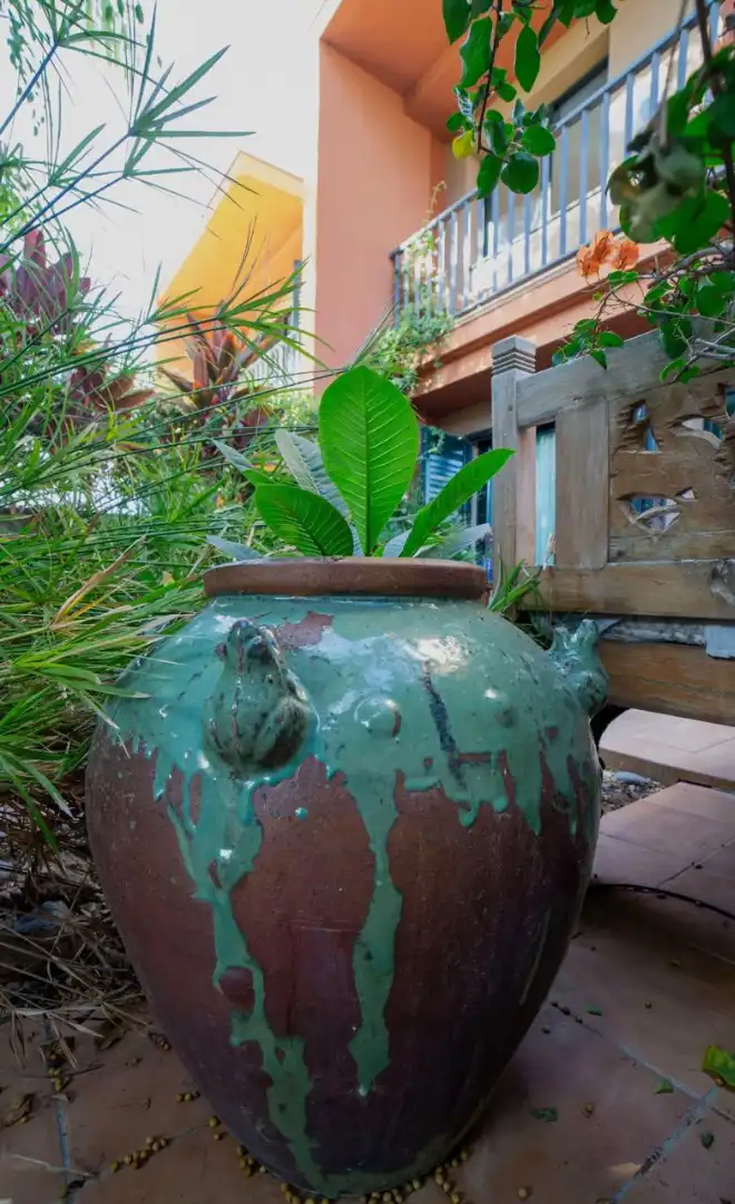 Jardí de Casa adosada de lloguer en Adeje amb Jardí privat, Terrassa i Moblat