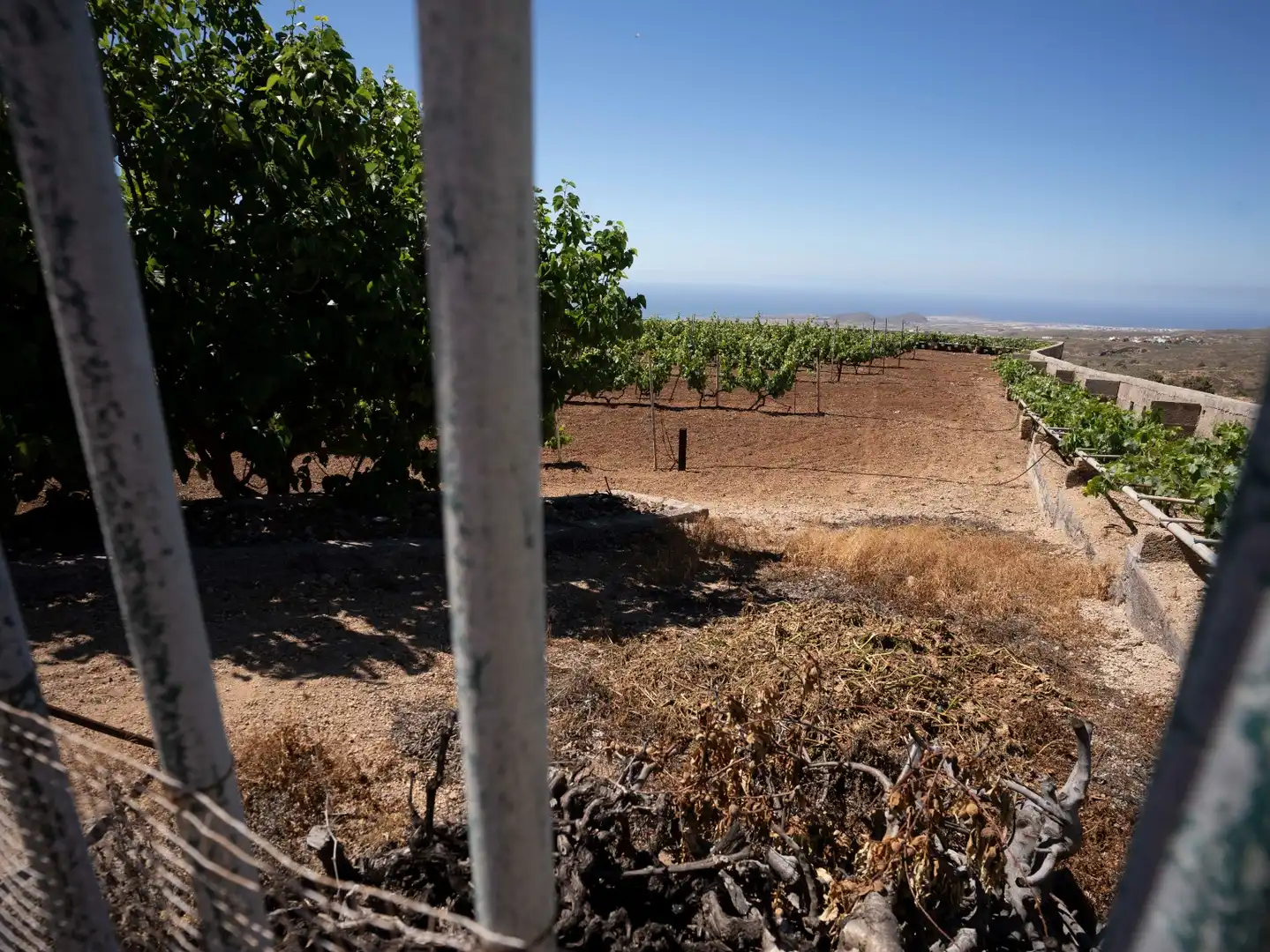 Terreno rustico in vendita a N/A, imagen 9