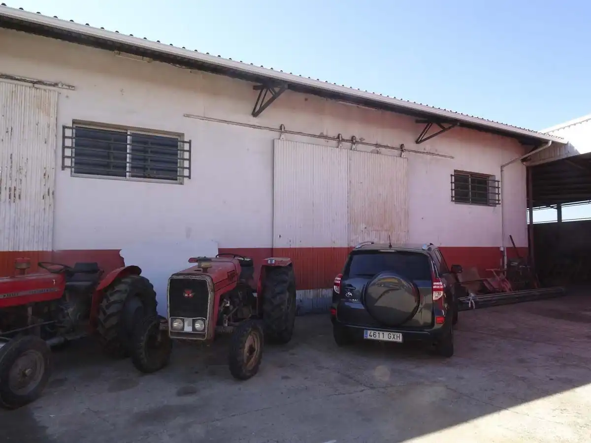Locale commerciale in affitto a Moraleja, imagen 7