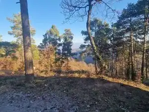 Residential land for sale in Diseminado Rust Muntanyola 27, imagen 8
