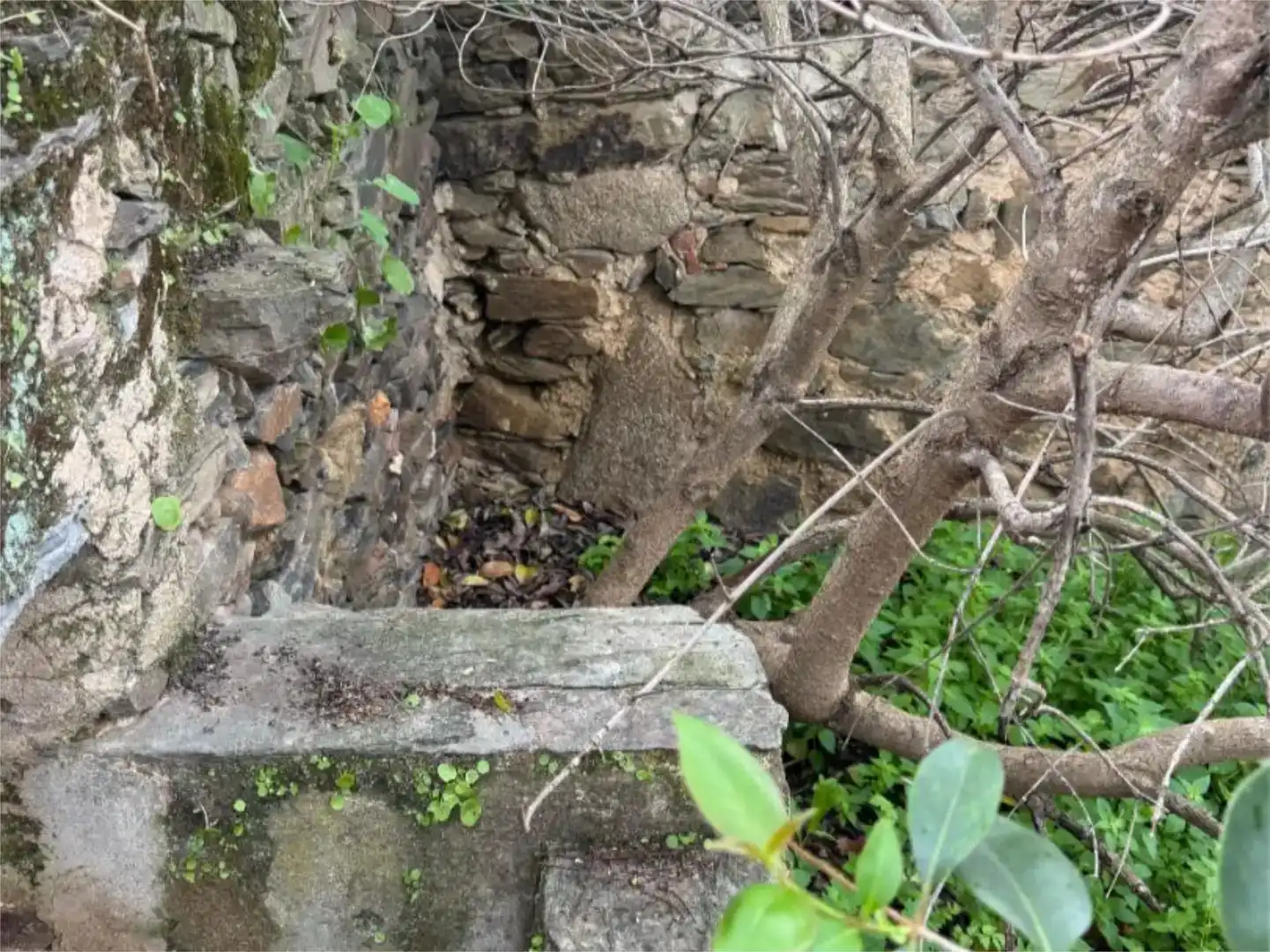 Vista exterior de Pis en venda en Alcollarín amb Aire condicionat, Traster i Moblat