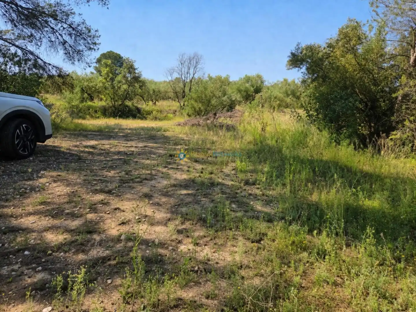 Terreno en venta en Bellús