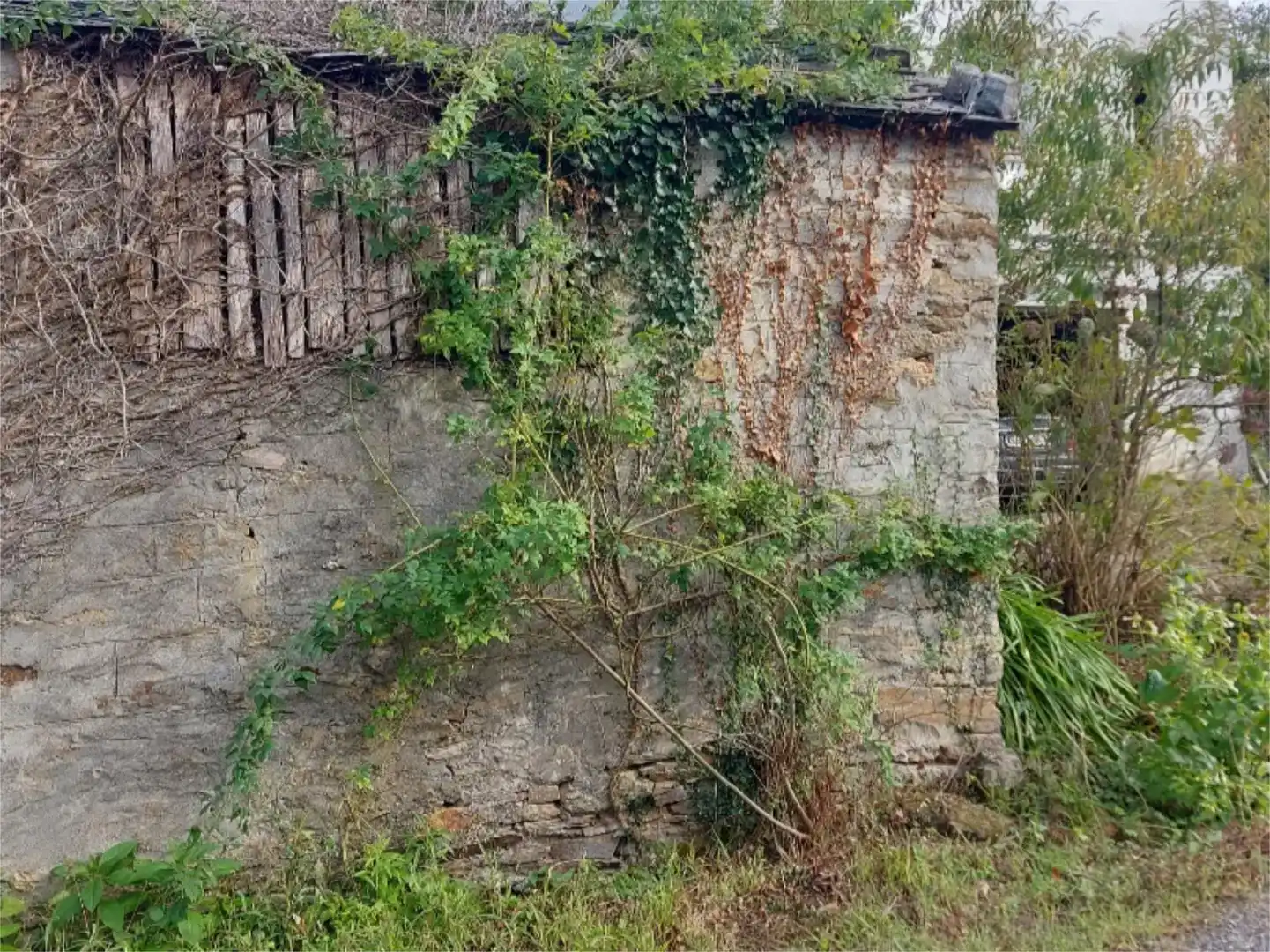 Vista exterior de Casa o xalet en venda en Boal