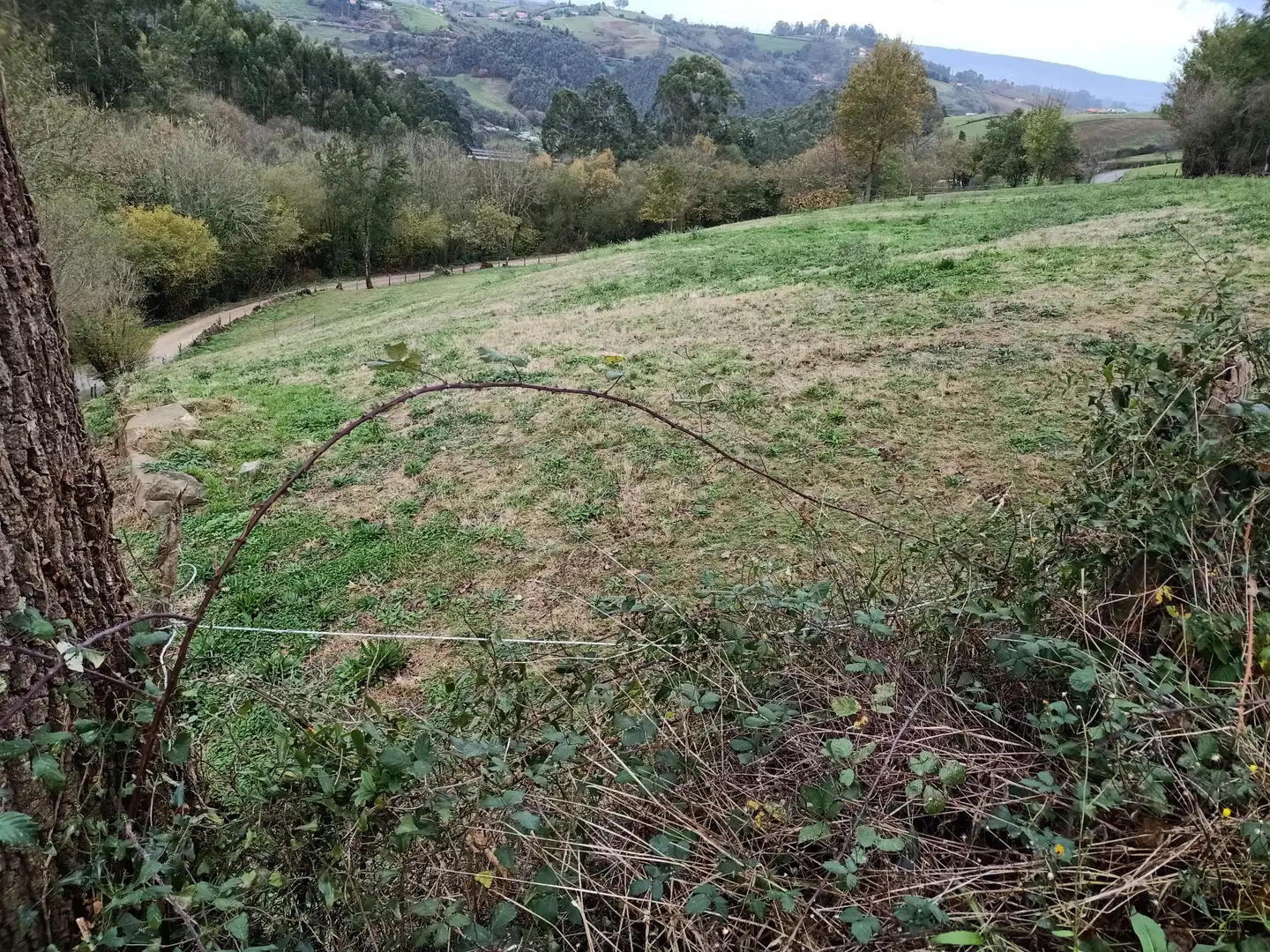Terreny rústic en venda a Camín de Huerces 9, imagen 11