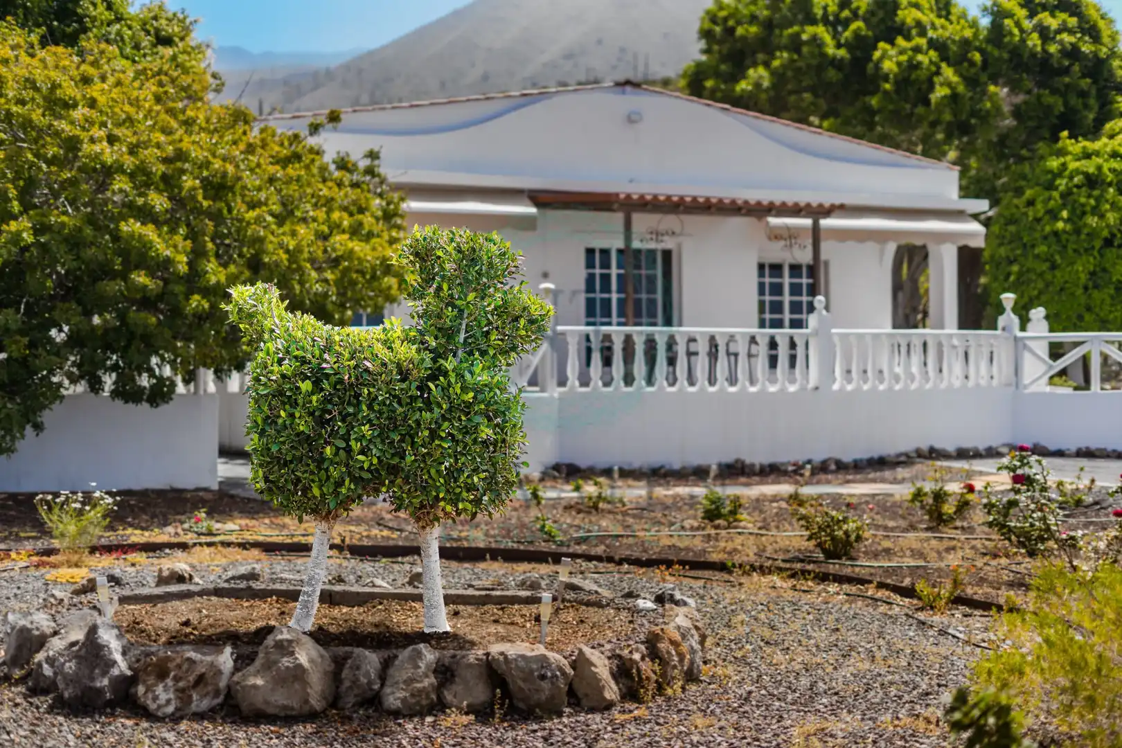 House with garden for sale in Playa de San Juan, imagen 3